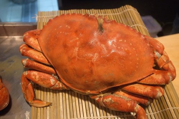 美食圖片